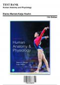 Test Bank for Human Anatomy and Physiology, 11th Edition by Marieb, 9780134580999, Covering Chapters 1-29 | Includes Rationales