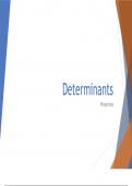 Determinants of Matrices