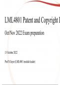 LML4801 EXAM PREP