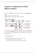 Génétique - Réplication de l'ADN, Méiose et Mitose