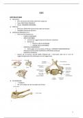 Samenvatting Anatomie 4_Nek