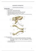 Samenvatting Anatomie 4_Bovenste Lidmaat