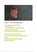 Chapter 11 - The Cardiovascular System