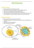 OCR A-Level Biology 5.4.3 The Pancreas