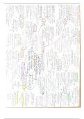 Conscience mind map