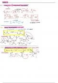 Organic Chemistry 2 All Reactions Summary with mechanisms 
