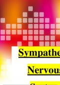 Sympathetic nervous system summary