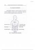 Anatomie Functionala - Sistemul digestiv si urinar