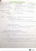Goodwill, accountancy notes 