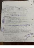 Class Notes Week 4 Organic Chemistry 
