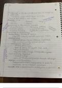 Class Notes Week 4 Prokaryotes