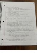 Complete set of class notes from General Biology 1