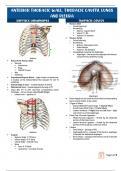 Anatomy Comprehensive notes on Anterior Thoracic Wall, Thoracic Cavity, Lungs, and Pleura