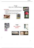 Core concepts of Fungi