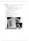 Volledige samenvatting radiologie ademhaling