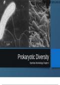 OpenStax Microbiology Chapter 4 Prokaryotic Diversity.