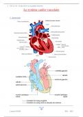 UE 2.2. S1 : Le système cardiovasculaire  