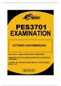 PES3701 EXAM  OCTOBER/NOVEMBER2020