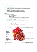 Cardiac Physiology 