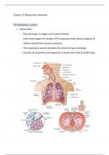 Respiratory Anatomy 