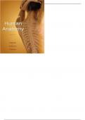 Human Anatomy 6th Edition By Elaine N. Marieb - Test Bank