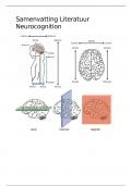 Samenvatting Neurocognition Literatuur 2023