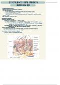 Medical Terminology: Chapter 4 Notes: The Integumentary System