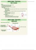 Medical Terminology: Chapter 6 Notes: The Muscular System