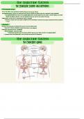 Medical Terminology: Chapter 9 Notes: The Endocrine System