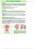 Complete Medical Terminology Course Notes: Chapter 1-16 