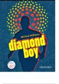  Diamond Boy -  Everything you (full book summary,character...)