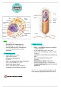 Class Notes (Summary) of Structural Components of Cell I Anatomy and Physiology I League of Nursing Legends