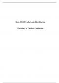 Basic EKG Dysrhythmia Identification Physiology of Cardiac Conduction