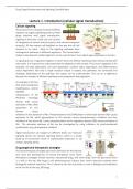 Summary Drug Target Biochemistry and Signaling (XM_0111)