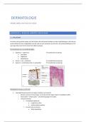 Samenvatting Dermatologie (3de bach)