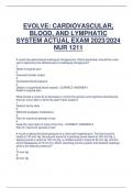 CARDIOVASCULAR,  BLOOD, AND LYMPHATIC  SYSTEM