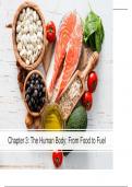 Introduction into Nutrition - From Food to Fuel POWERPOINT 