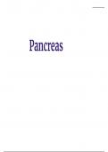 Summary for Pancreas, Gray's Anatomy for Students -  Human Anatomy