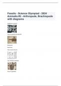 Fossils - Science Olympiad - 2024 Animalia #2 - Arthropods, Brachiopods with diagrams