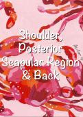 Anatomy notes - Shoulder, Posterior Scapular Region & Back