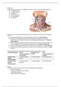 Oefentoets uitwerkingen Anatomie en ontwikkelingsbiologie (5052AOB12Y)
