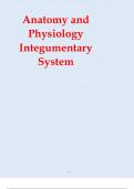 Anatomy and Physiology Integumentary System