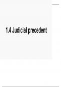 judicial precedent powerpoint