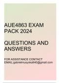 AUE4863 Exam pack 2024 (Questions and answers)