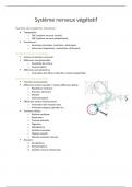 Résumé- anatomie du système nerveux végétatif