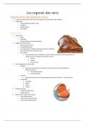 Résumé - anatomie organes des sens
