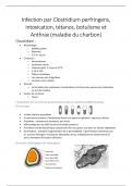 Résumé - Bactériologie Clostridium (tetanus, botulismus,...) et Bacillus (Anthrax,...)