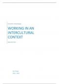 Summary 'working in an intercultural context'