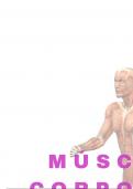 Músculos Corporales, imagenes y descripcion de la estructura muscular del cuerpo humano 