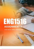 ENG1516 ASSIGNMENT 3 2024